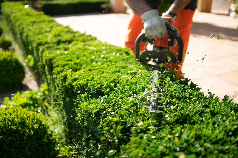 vente-jardinage